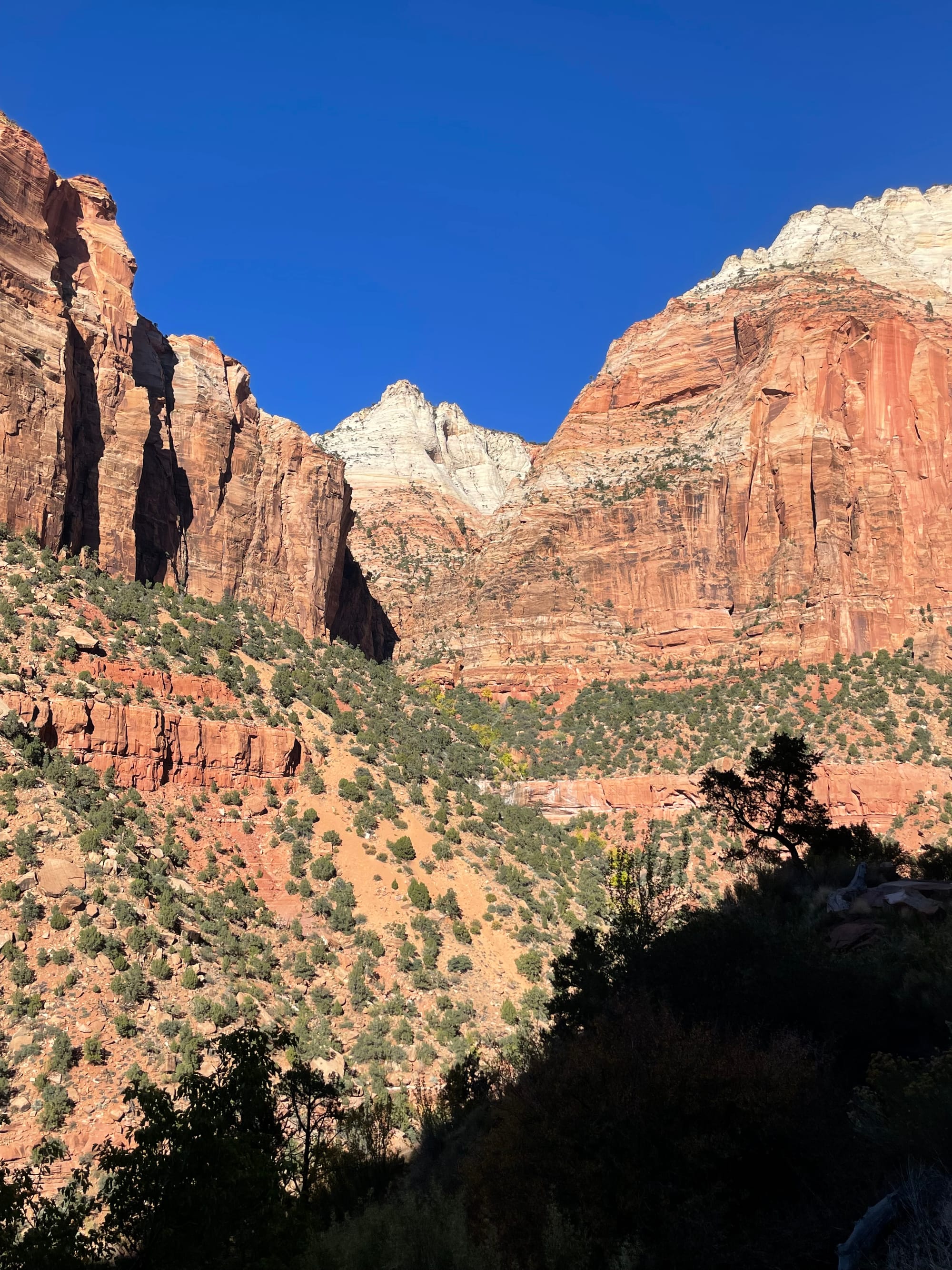 Zion National Park