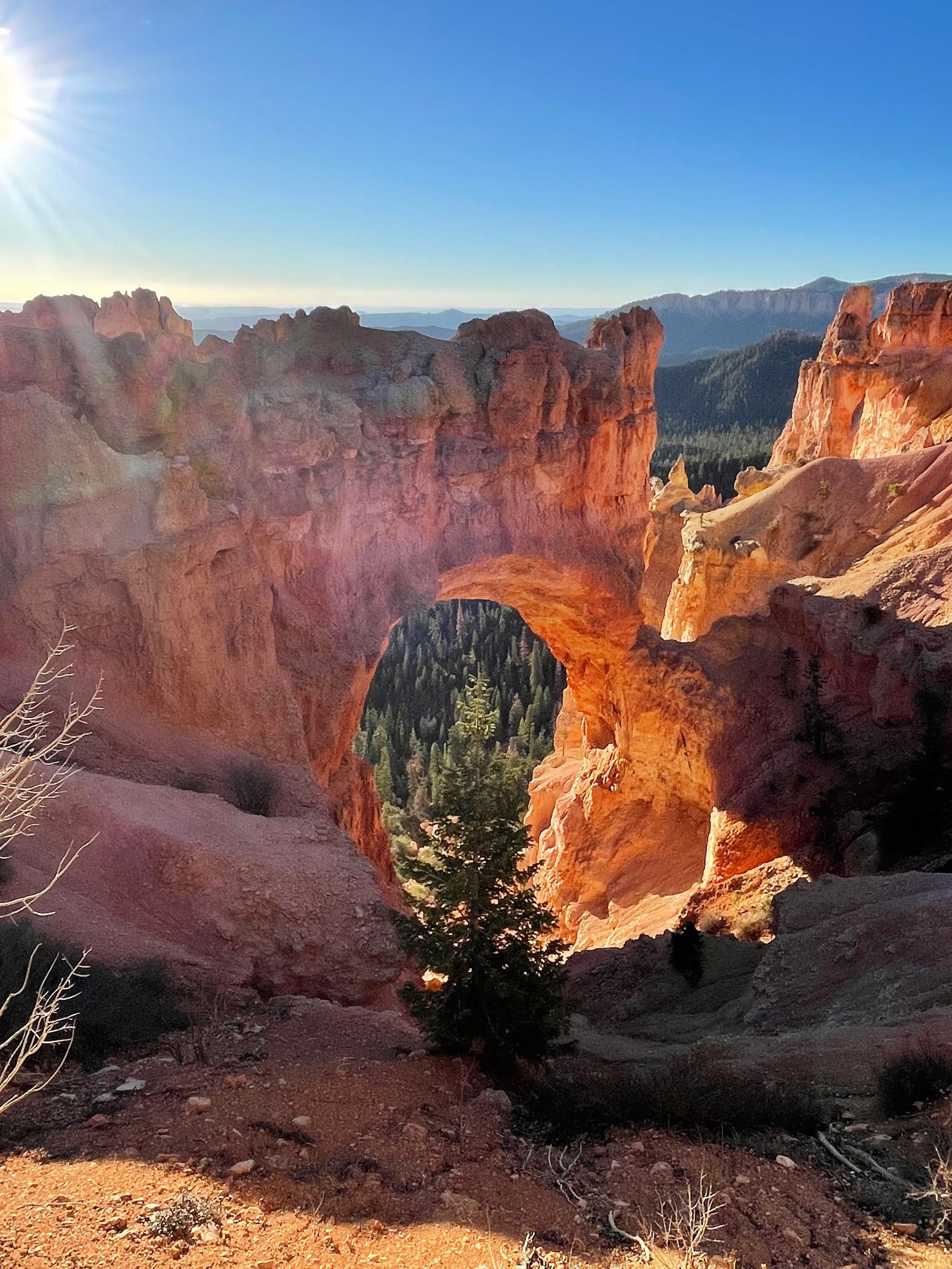 Bryce Canyon