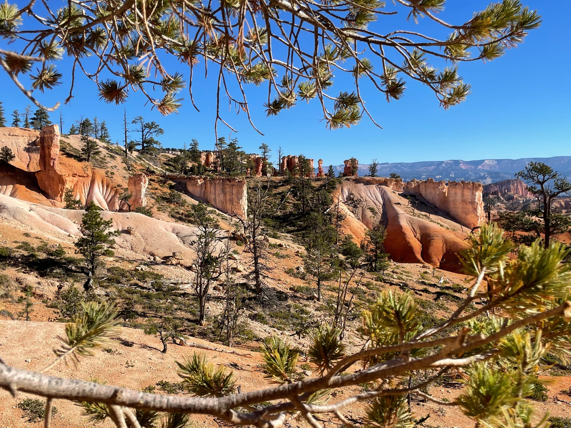 Bryce Canyon