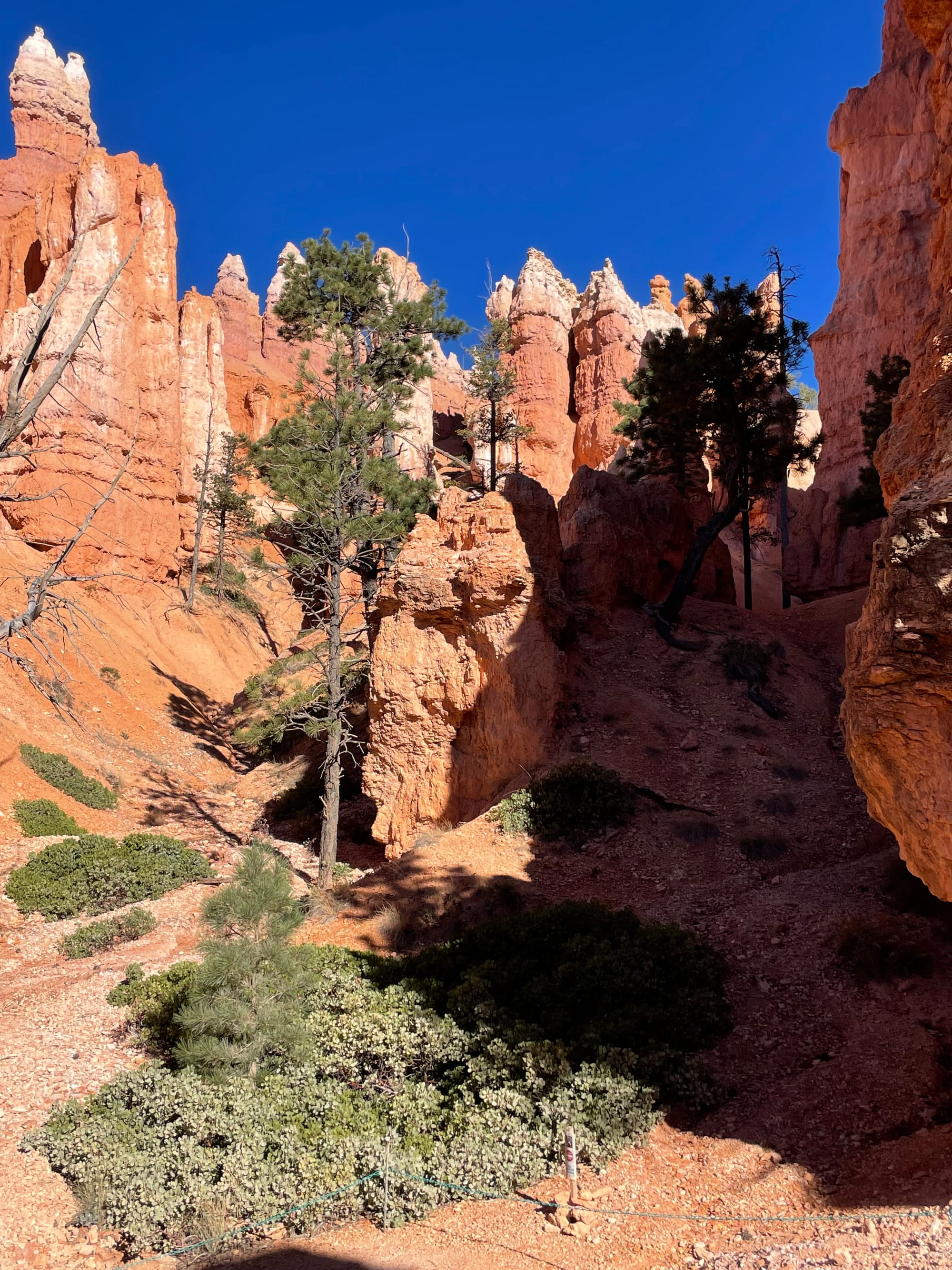 Bryce Canyon
