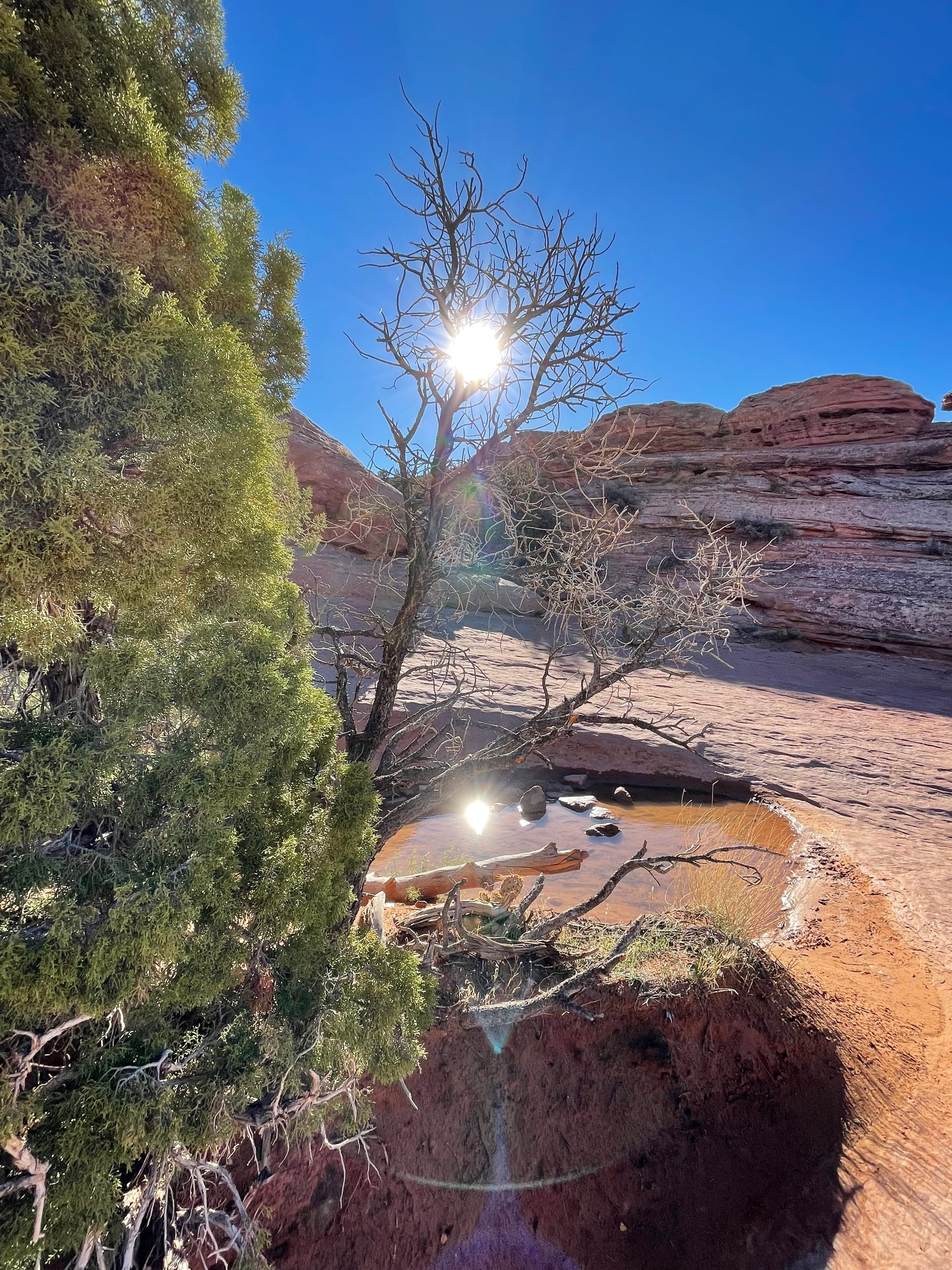 Arches National Park