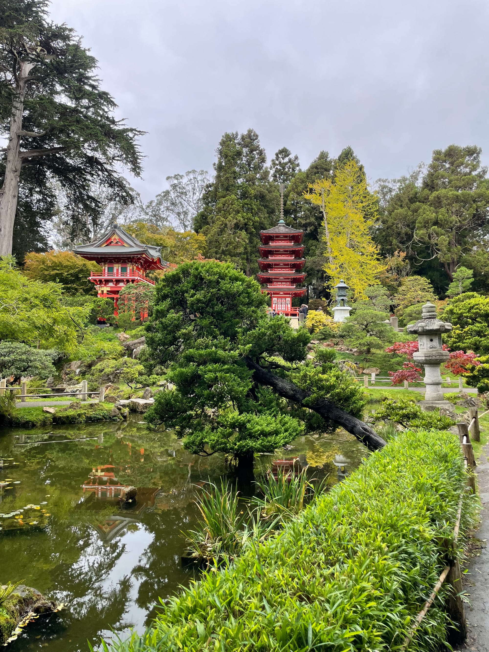 Japanese Tea Garden