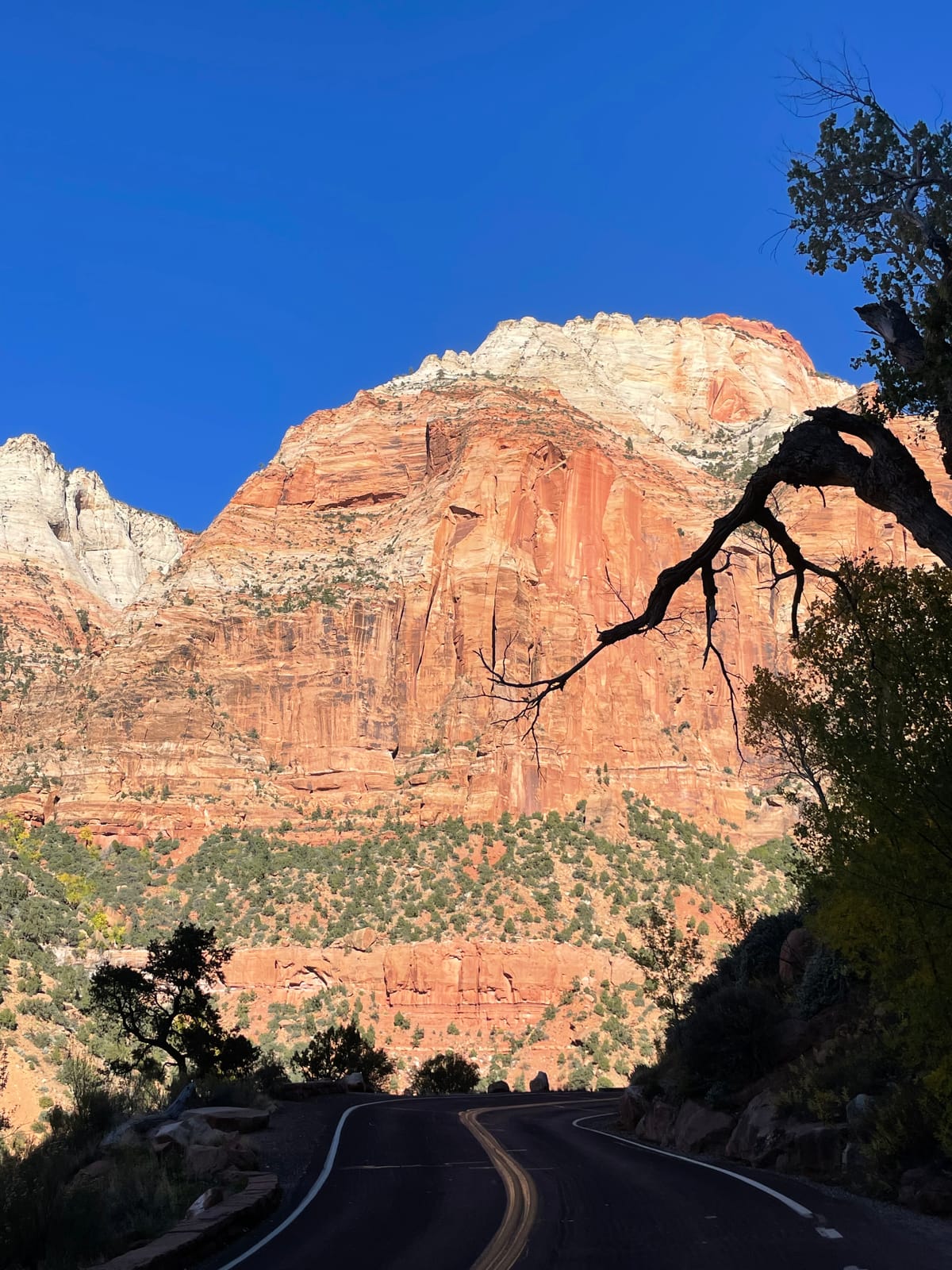 Zion National Park