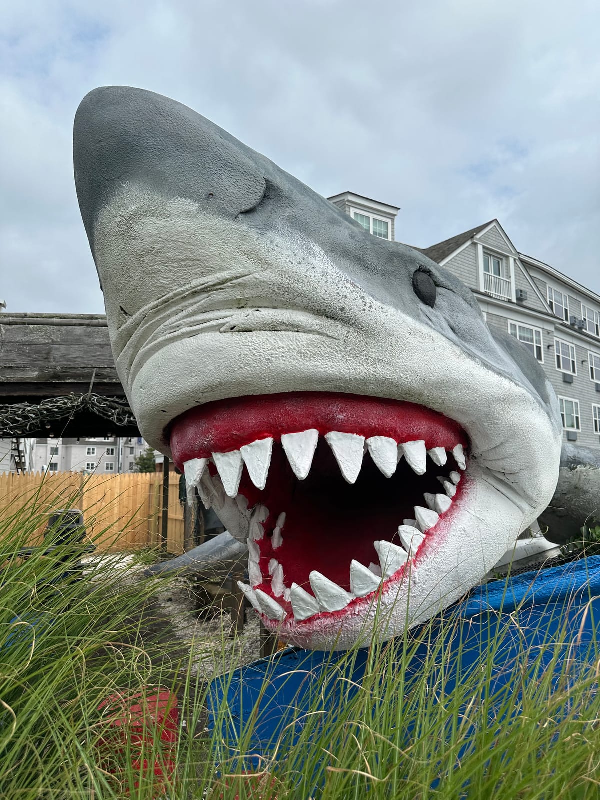 Jaws